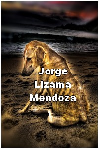 cybermedios-lizama-fotografia-hdr- perrito playa