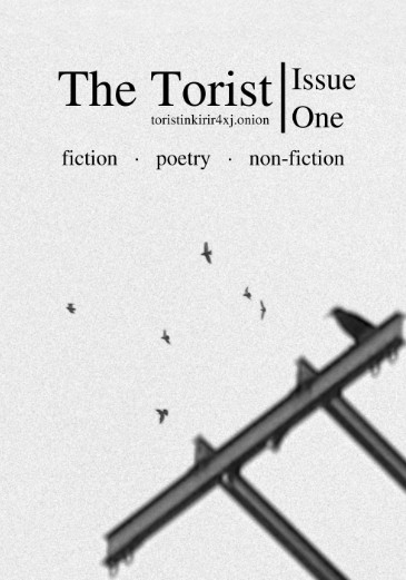 cybermedios-lizama-torist-deep-web-magazine