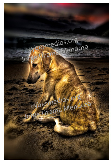 cybermedios-jorge-lizama-posfotografia-art-perrito-triste